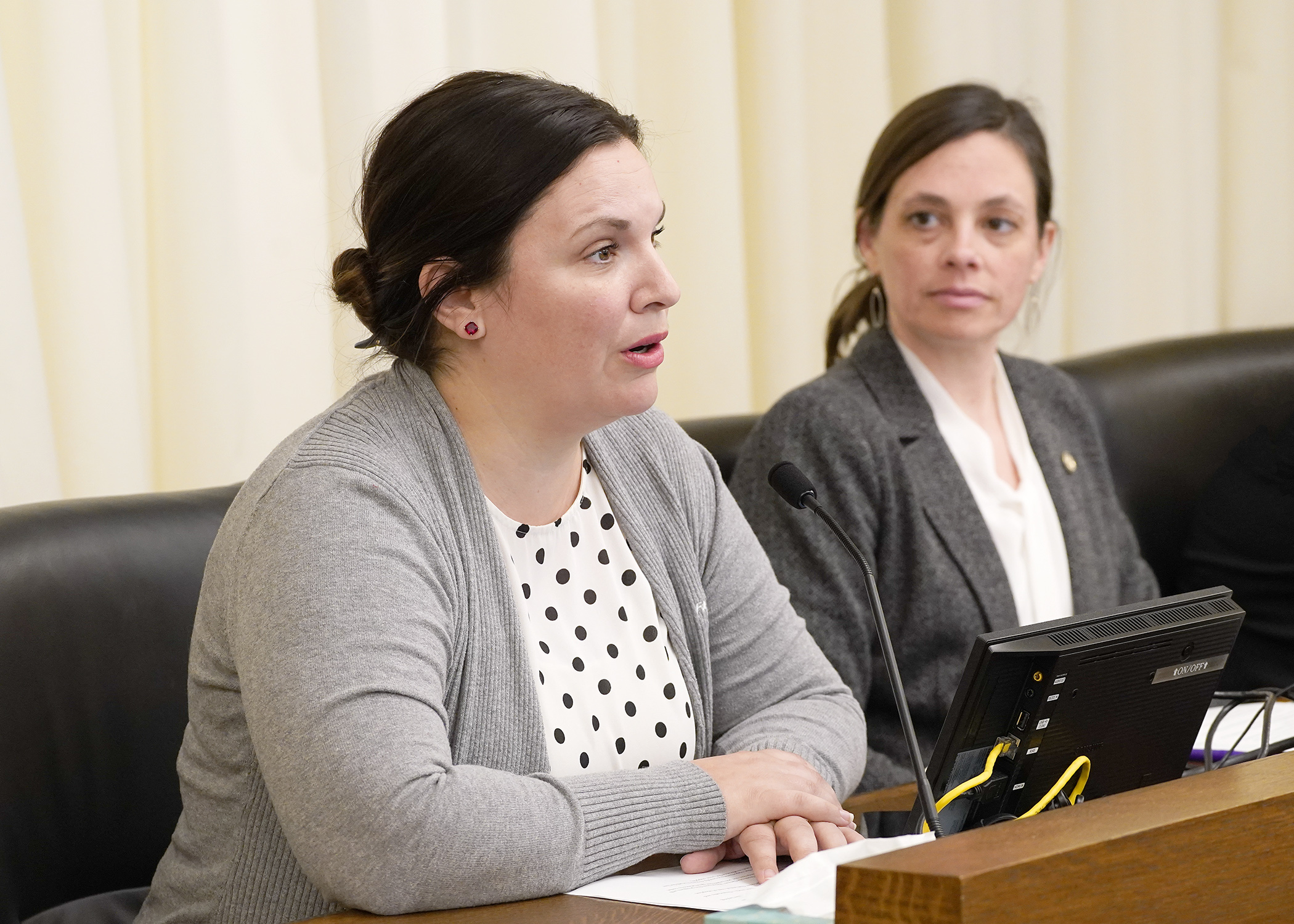 Minnesota Farmers Union Vice President Anne Schwagerl testifies in support of a bill sponsored by Rep. Kristi Pursell, right, that would establish a soil health finance assistance program. (Photo by Andrew VonBank)